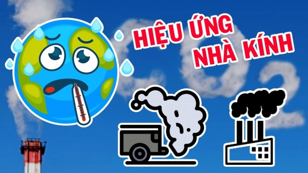 Hiệu ứng nhà kính là gì? Nguyên nhân, hậu quả?