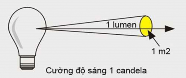 THÔNG TIN CHI TIẾT VỀ QUANG THÔNG CỦA CÁC LOẠI ĐÈN LED